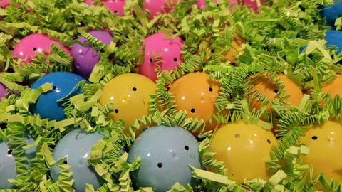 Easter Peas (each egg has 1 pea plant growing inside)