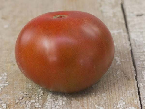 Paul Robeson Tomato - Veggie Start *Heirloom