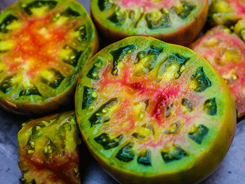Ananas Noir Tomato - Veggie Start *Heirloom
