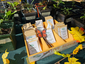 Green Steeze - Licensed Plant Nursery - Native Plants & Seeds | Vegetables | Houseplants
