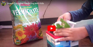 Veggie Planting Indoors with Kids