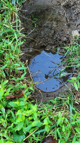 Maintenance Visit - Sampling or Testing