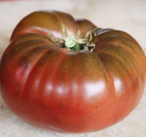 Cherokee Purple Tomato - Veggie Start *Heirloom
