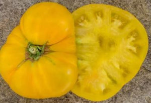 Dwarf Egypt Yellow Tomato - Veggie Start