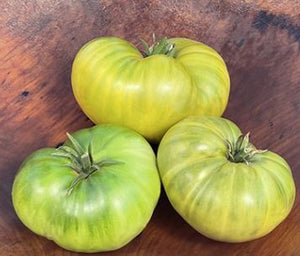 Green Giant Tomato - Veggie Start