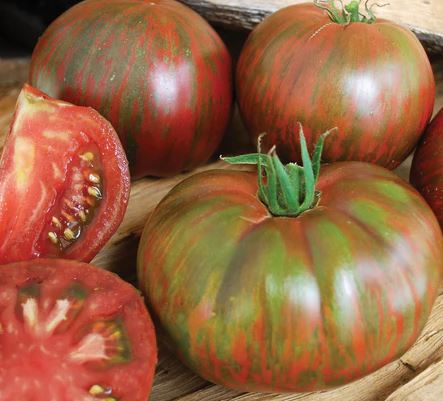 Pink Berkeley Tie Dye Tomato - Veggie Start