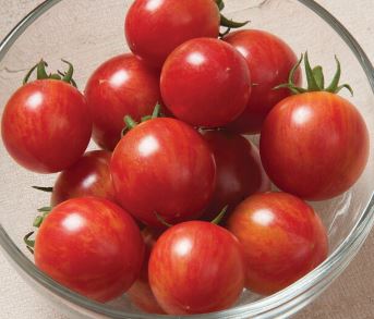 Pink Bumble Bee Tomato - Veggie Start