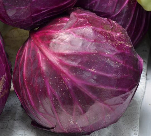 Red Acre Cabbage - Veggie Start