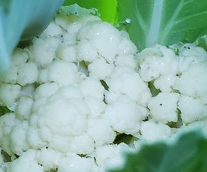 Early Snowball Y Cauliflower - Veggie Start - Mix & Match